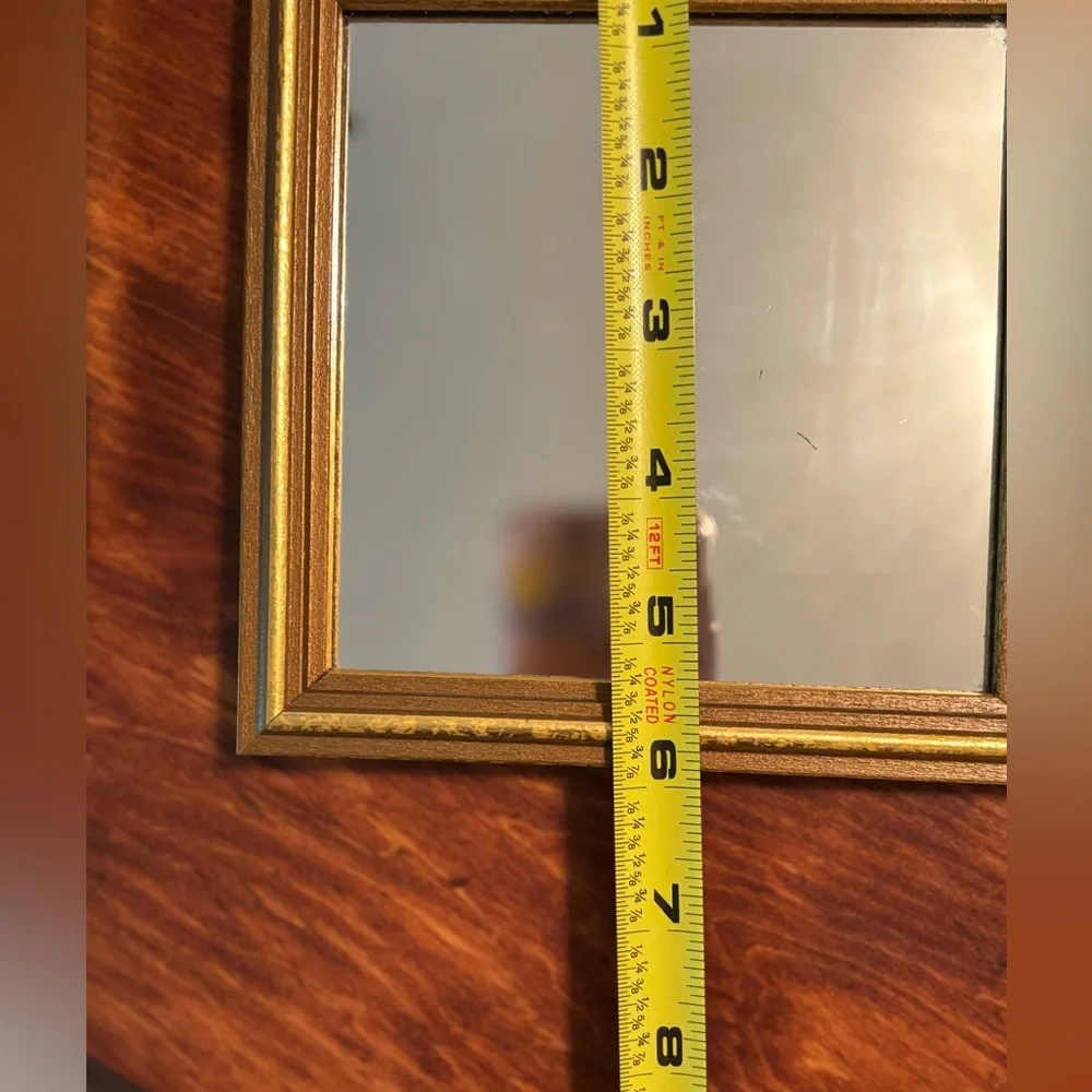 Elegant Gold Framed accent Wall Mirrors set of 2